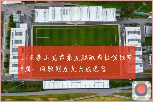 山东泰山克雷桑左腿肌肉拉伤缺阵8周，间歇期后复出成悬念