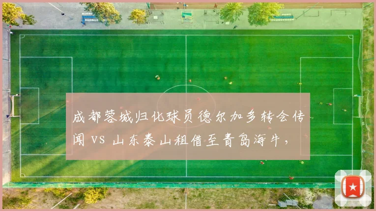 成都蓉城归化球员德尔加多转会传闻 vs 山东泰山租借至青岛海牛，归化球员使用对比