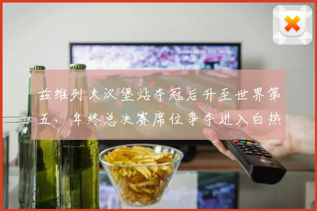 兹维列夫汉堡站夺冠后升至世界第五，年终总决赛席位争夺进入白热化